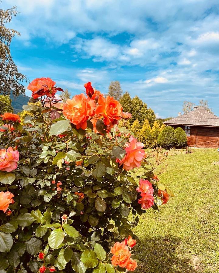 Etno Selo Vranesa Zlatar Hotel Nova Varos Ngoại thất bức ảnh